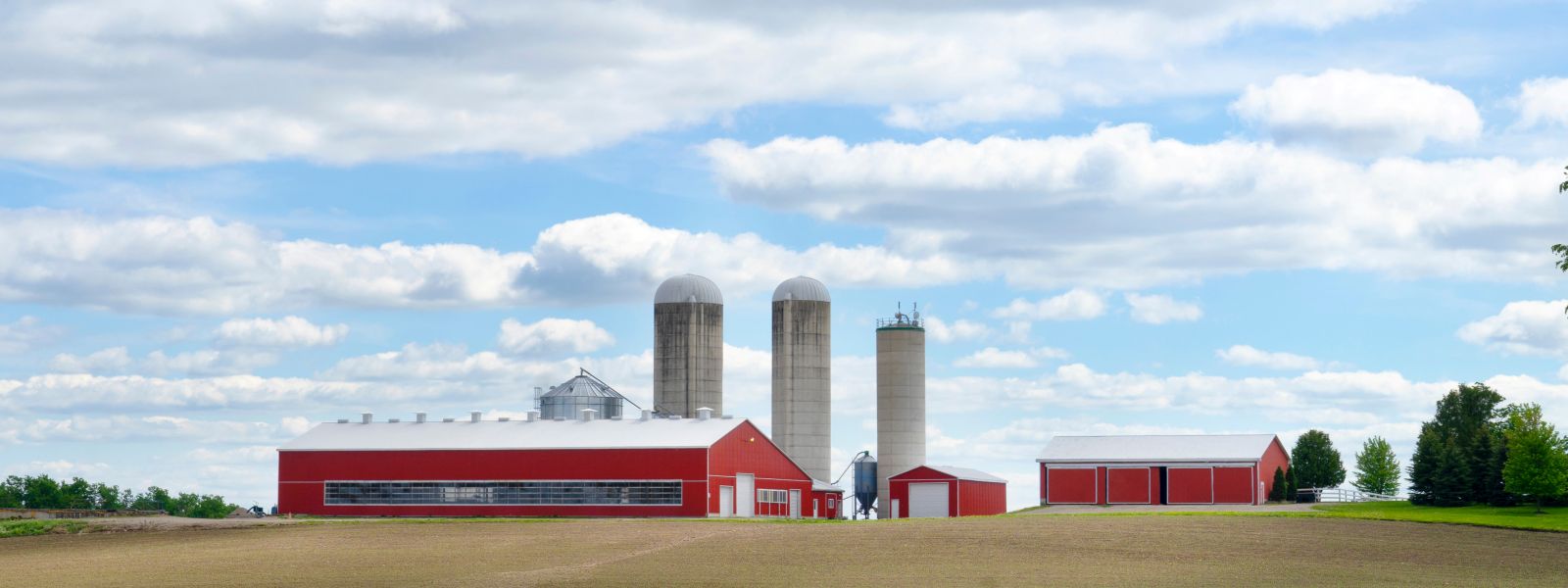 Large farm with red barns and silos