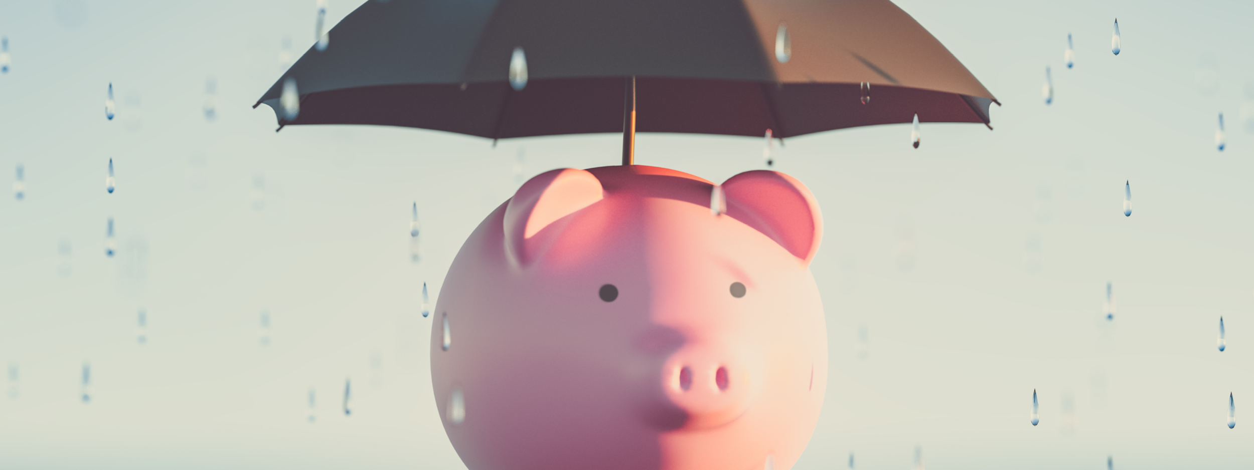 Pig with Umbrella