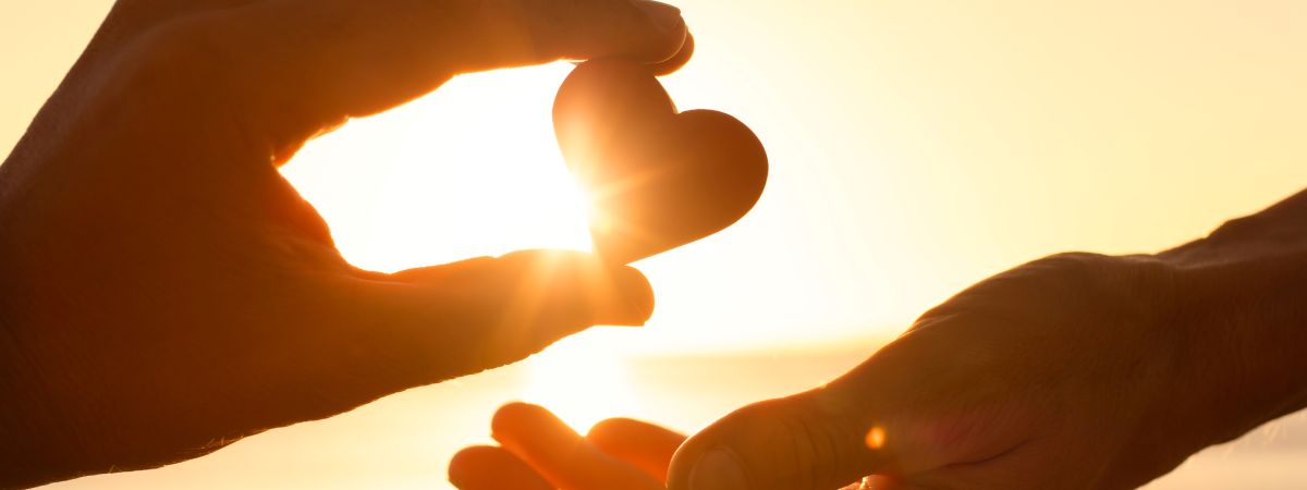 Hand off a rock in the sunset