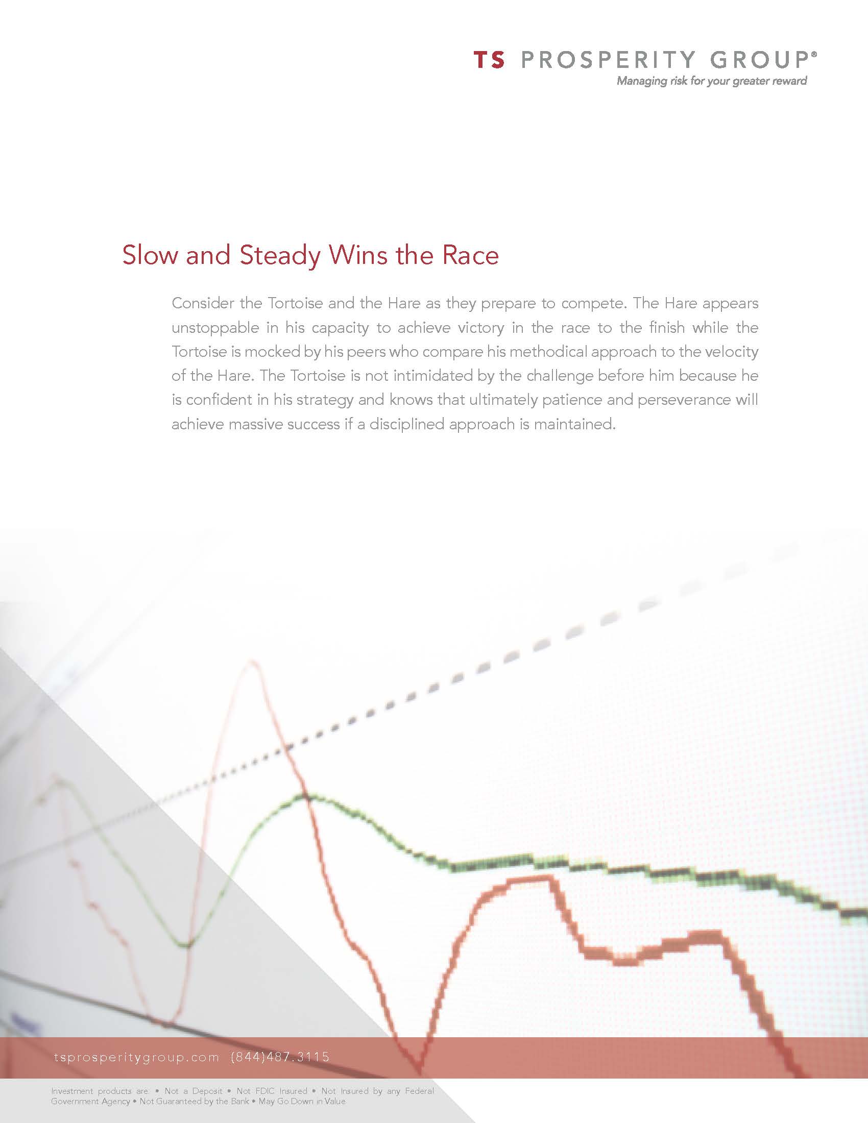 front cover of the slow and steady white paper