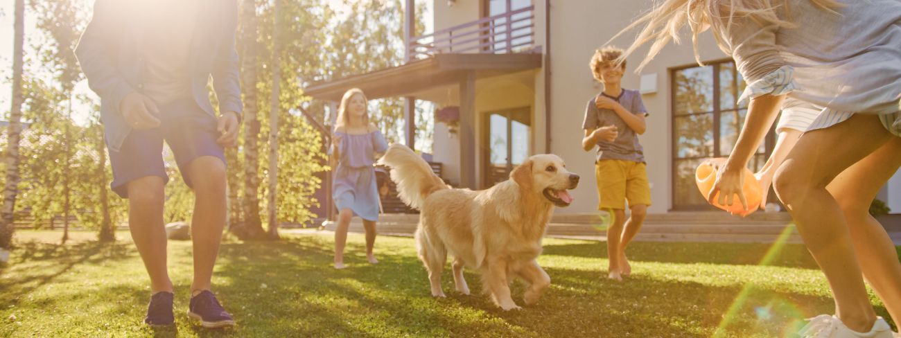 family playing with their dog