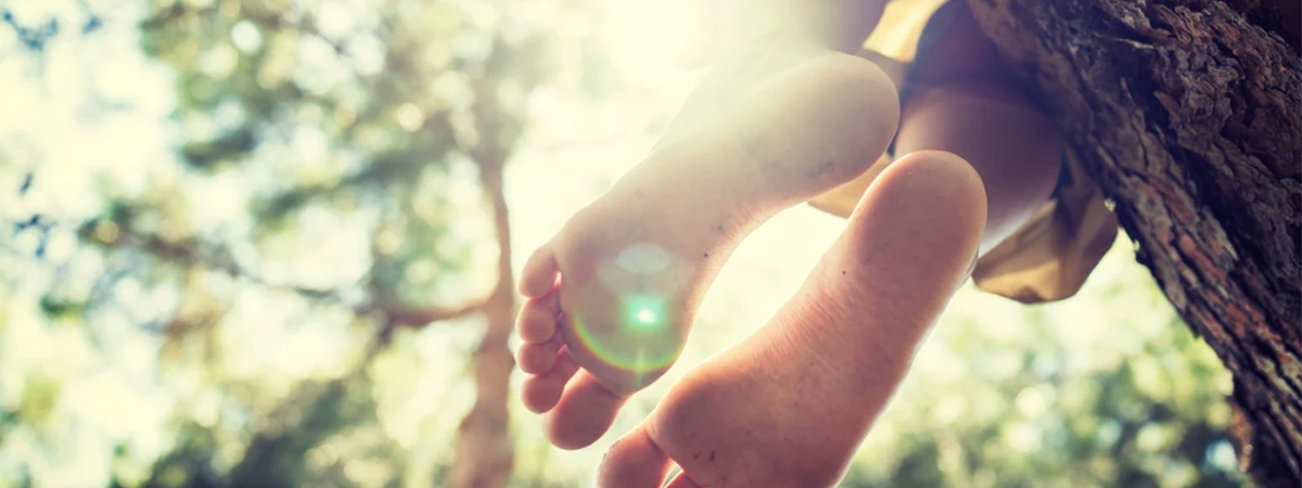 feet dangling off a branch in sunlight